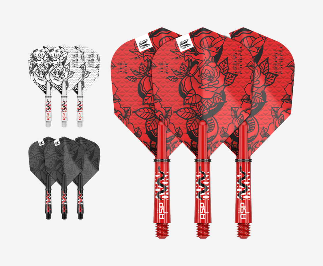 NATHAN ASPINALL INK FLIGHT & SHAFT KIT BY TARGET