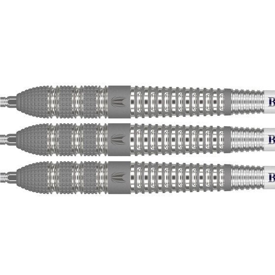 Target Raymond van Barneveld Barney25 Swiss Point 95% - Steel Tip Darts