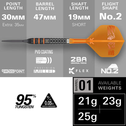RAYMOND VAN BARNEVELD 95K SP STEEL TIP DARTS 2026