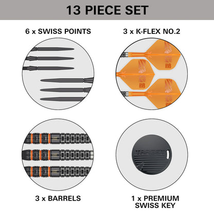 RAYMOND VAN BARNEVELD 95K SP STEEL TIP DARTS 2026